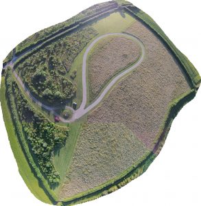 aerial1